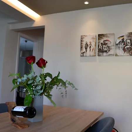 Apartment Vasmir *