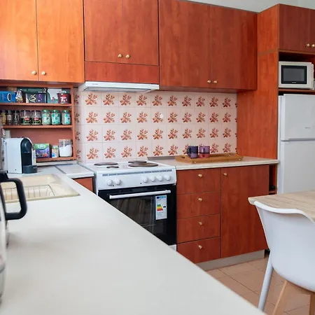Apartment Vasmir *